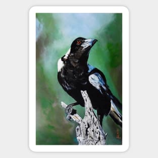 Proud Magpie - Australian magpie Standing Sticker